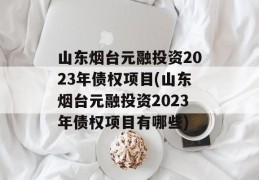 山东烟台元融投资2023年债权项目(山东烟台元融投资2023年债权项目有哪些)