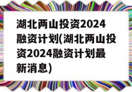 湖北两山投资2024融资计划(湖北两山投资2024融资计划最新消息)