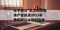 关于湖北*武汉阳逻新港产业投资2023年债权转让计划的信息