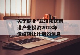 关于湖北*武汉阳逻新港产业投资2023年债权转让计划的信息