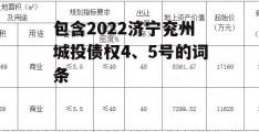 包含2022济宁兖州城投债权4、5号的词条