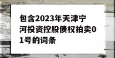 包含2023年天津宁河投资控股债权拍卖01号的词条