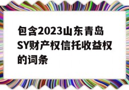 包含2023山东青岛SY财产权信托收益权的词条