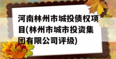 河南林州市城投债权项目(林州市城市投资集团有限公司评级)