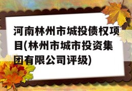 河南林州市城投债权项目(林州市城市投资集团有限公司评级)