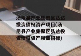 汤阴县产业集聚区弘达投资债权资产项目(汤阴县产业集聚区弘达投资债权资产项目招标)