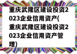 重庆武隆区建设投资2023企业信用资产(重庆武隆区建设投资2023企业信用资产管理)