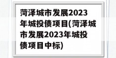 菏泽城市发展2023年城投债项目(菏泽城市发展2023年城投债项目中标)