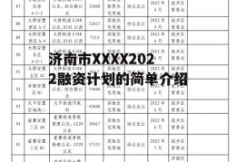 济南市XXXX2022融资计划的简单介绍