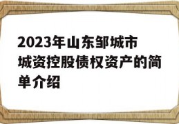 2023年山东邹城市城资控股债权资产的简单介绍