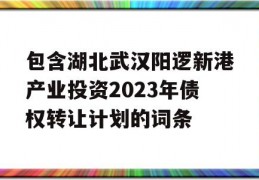 包含湖北武汉阳逻新港产业投资2023年债权转让计划的词条