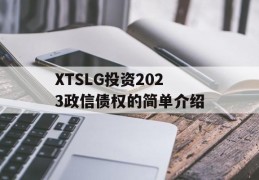 XTSLG投资2023政信债权的简单介绍