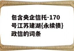 包含央企信托-170号江苏建湖{永续债}政信的词条