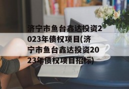 济宁市鱼台鑫达投资2023年债权项目(济宁市鱼台鑫达投资2023年债权项目招标)