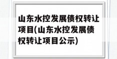 山东水控发展债权转让项目(山东水控发展债权转让项目公示)