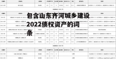 包含山东齐河城乡建设2022债权资产的词条