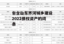 包含山东齐河城乡建设2022债权资产的词条