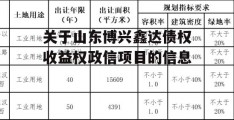 关于山东博兴鑫达债权收益权政信项目的信息