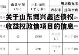 关于山东博兴鑫达债权收益权政信项目的信息