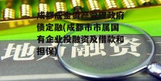 成都成金资产管理政府债定融(成都市市属国有企业投融资及借款和担保)