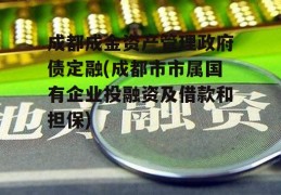 成都成金资产管理政府债定融(成都市市属国有企业投融资及借款和担保)