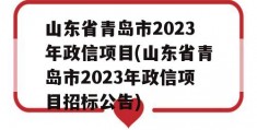 山东省青岛市2023年政信项目(山东省青岛市2023年政信项目招标公告)