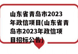 山东省青岛市2023年政信项目(山东省青岛市2023年政信项目招标公告)