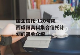 国企信托-120号陕西咸阳高科集合信托计划的简单介绍