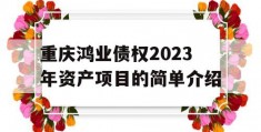 重庆鸿业债权2023年资产项目的简单介绍