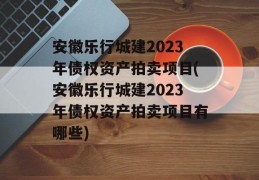 安徽乐行城建2023年债权资产拍卖项目(安徽乐行城建2023年债权资产拍卖项目有哪些)