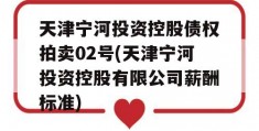 天津宁河投资控股债权拍卖02号(天津宁河投资控股有限公司薪酬标准)