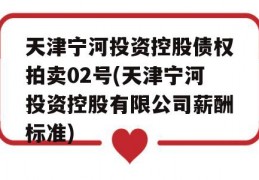 天津宁河投资控股债权拍卖02号(天津宁河投资控股有限公司薪酬标准)