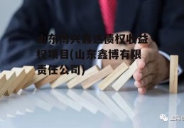 山东博兴鑫达债权收益权项目(山东鑫博有限责任公司)