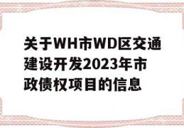 关于WH市WD区交通建设开发2023年市政债权项目的信息