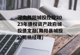 河南舞阳城投控股2023年债权资产政府城投债定融(舞阳县城投公司杨经理)