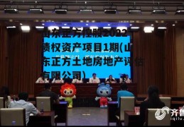 山东正方控股2022债权资产项目1期(山东正方土地房地产评估有限公司)