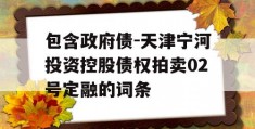 包含政府债-天津宁河投资控股债权拍卖02号定融的词条