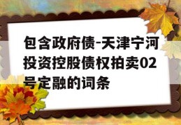 包含政府债-天津宁河投资控股债权拍卖02号定融的词条