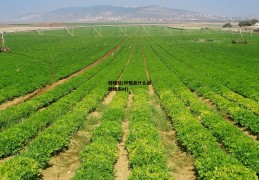 种植业(种植业什么最赚钱农村)