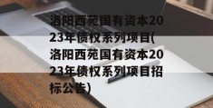 洛阳西苑国有资本2023年债权系列项目(洛阳西苑国有资本2023年债权系列项目招标公告)