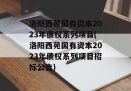 洛阳西苑国有资本2023年债权系列项目(洛阳西苑国有资本2023年债权系列项目招标公告)