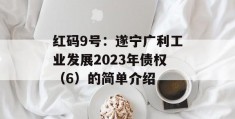 红码9号：遂宁广利工业发展2023年债权（6）的简单介绍