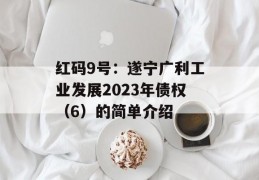 红码9号：遂宁广利工业发展2023年债权（6）的简单介绍