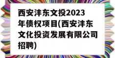 西安沣东文投2023年债权项目(西安沣东文化投资发展有限公司招聘)