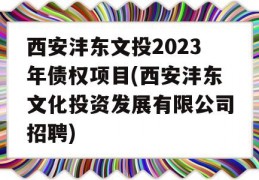 西安沣东文投2023年债权项目(西安沣东文化投资发展有限公司招聘)