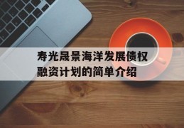 寿光晟景海洋发展债权融资计划的简单介绍