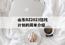 山东BZ2023信托计划的简单介绍