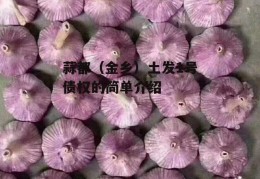 蒜都（金乡）土发1号债权的简单介绍