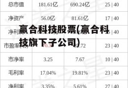 赢合科技股票(赢合科技旗下子公司)