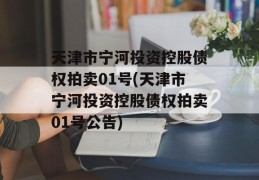 天津市宁河投资控股债权拍卖01号(天津市宁河投资控股债权拍卖01号公告)